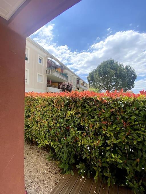 Lou Cameou Marseillan (Herault) Eksteriør bilde
